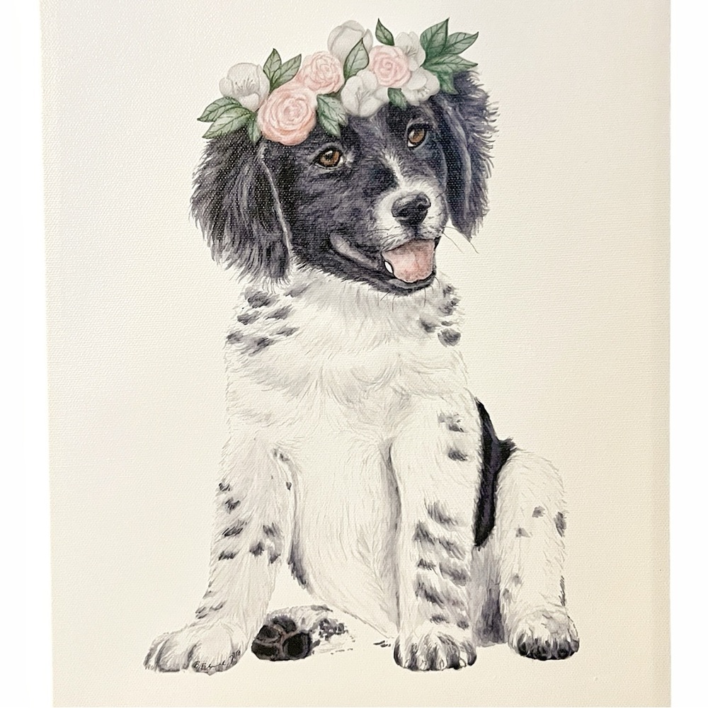 Nursery Dog Canvas Print - 10x14 - Border Collie Puppy